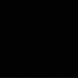 Meet your Posher, Ariel